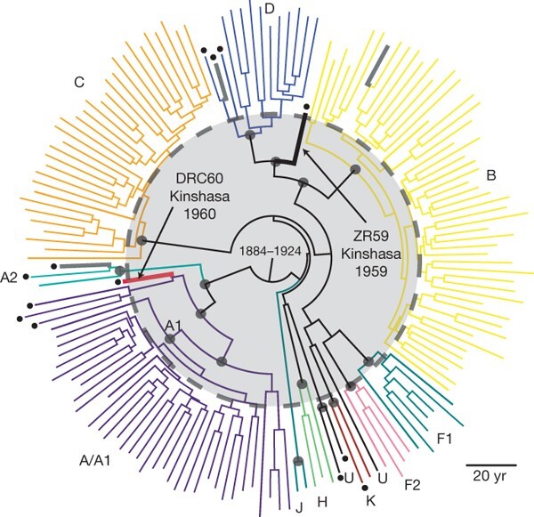 Phylogenetic tree of HIV-1 sequences from Worobey and colleagues [@ref5]. Copyright © 2008, Macmillan Publishers Limited. All rights reserved.