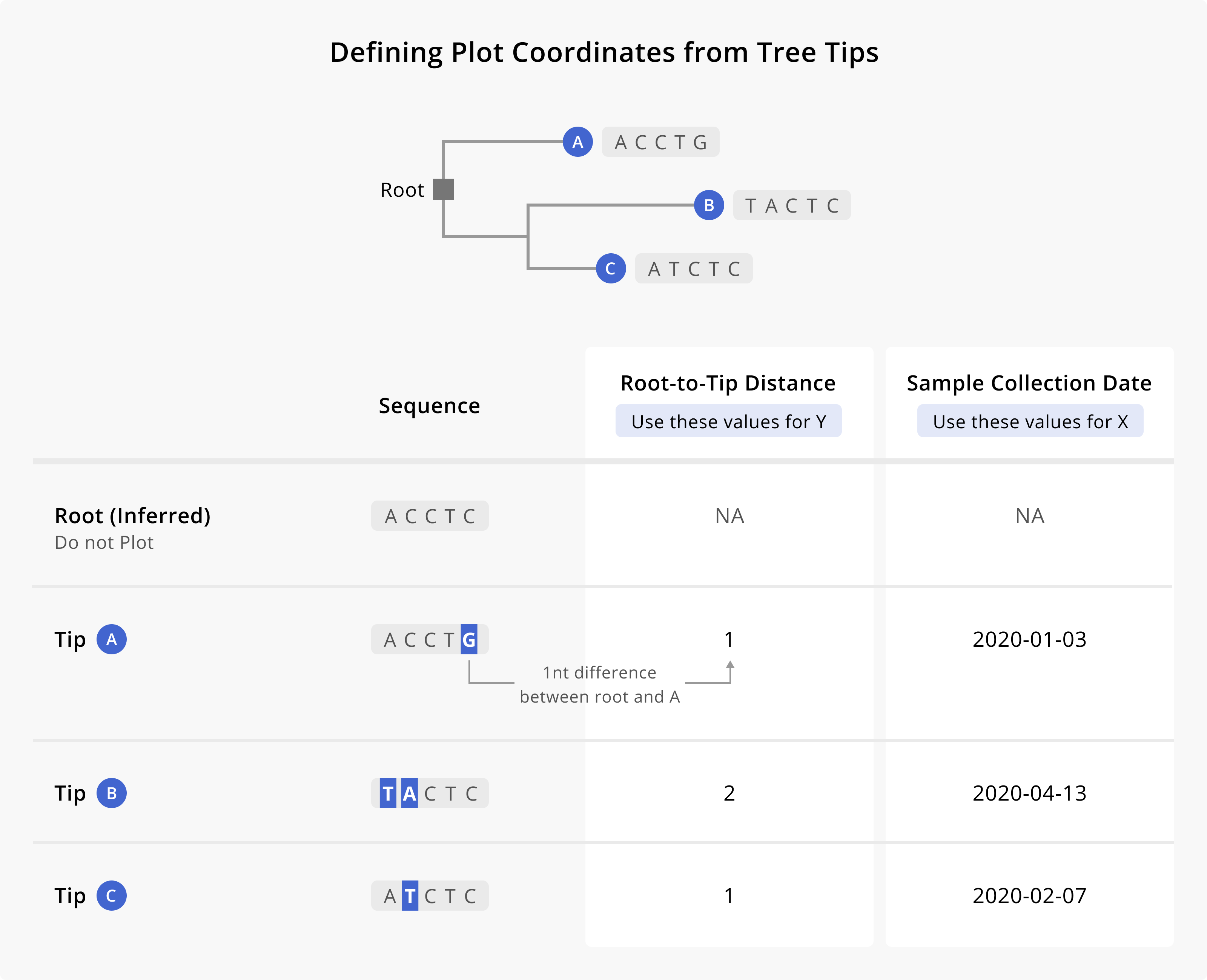 Here is a theoretical phylogenetic tree, for which we will calculate the root-to-tip distances for the three sequenced samples: A, B, and C. The sequences of A, B, and C are indicated, as is the inferred sequence of the root of the tree. The number of mutations differing between the root sequence and each of the sampled sequences gives the root-to-tip distance, which we use as the y-value for the sequenced sample. The x-value comes from the date when that particular sequenced sample was collected.