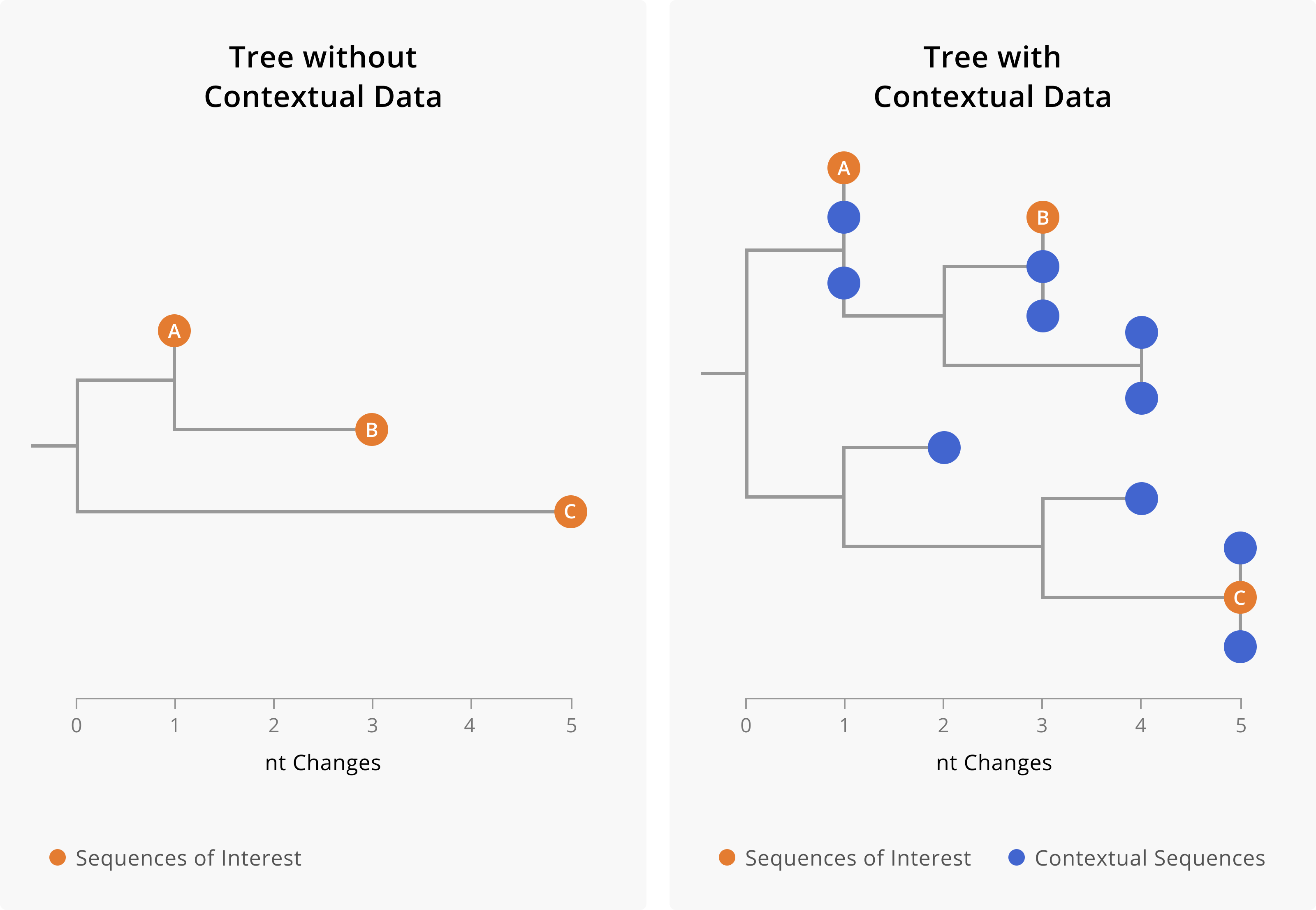 A toy example showing the importance of including contextual data when assessing linkage between cases. On the left-hand side is a phylogenetic tree including only three samples of interest. On the right-hand side, we show a phylogenetic tree of the same three samples of interest (orange tips) along with closely-related contextual data (blue tips). The addition of contextual data clarifies the relationships between the samples of interest. In the tree on the left, we might assume that A and B are related cases, since they both share a mutation and are only two nucleotides diverged from each other. However, the addition of contextual data (blue) provides a more nuanced picture. We see that samples of interest A and B are in fact more closely related to contextual sequences than they are to each other. This could mean that A and B are not directly epidemiologically linked, or it might mean that A and B are both part of a larger transmission chain captured by the contextual sequences. Furthermore, contextual data can make it more clear when samples are diverged. While we can see substantial genetic divergence between sample C and samples A and B in the tree on the left, the addition of contextual data makes it more clear that C is unrelated to samples A and B.