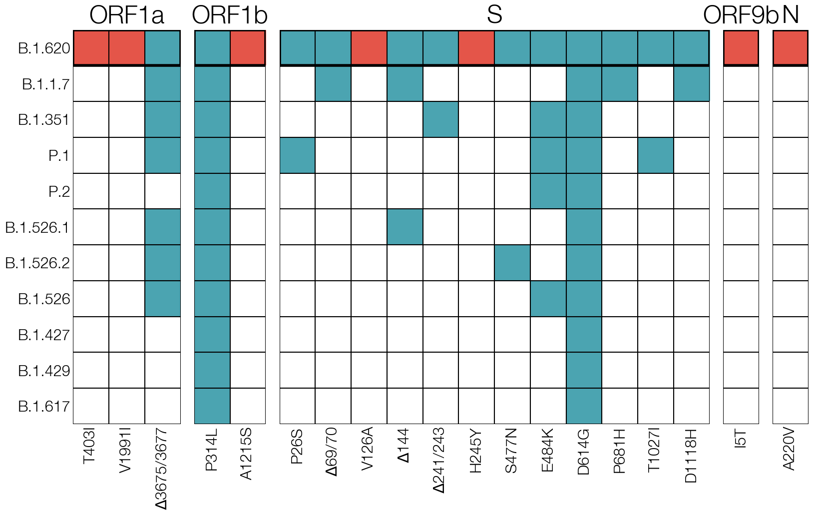 Mutations unique to the mystery lineage X (which became B.1.620) are shown in red, blue highlights amino acid changes present in other VOCs and VOIs of the time.