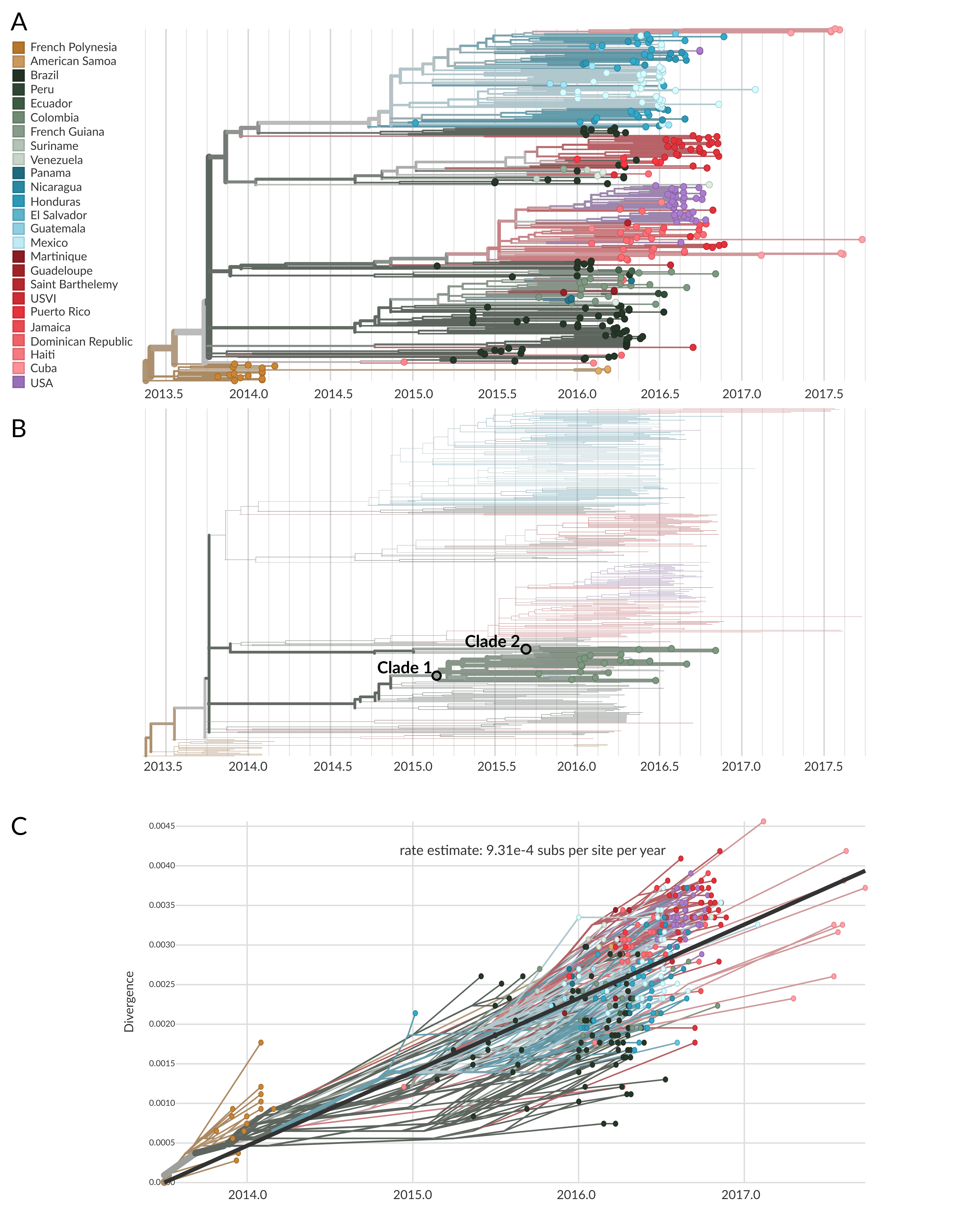 (A) A temporally resolved phylogeny of 360 whole Zika virus genome sequences, of which only 20 are sampled from Colombia. The tips and branches are coloured according to the country where they were sampled from, or the inferred country of circulation, respectively. (B) The same phylogeny as shown in the A, but with only Colombian samples highlighted. While they are pushed together in the same area of the tree, there are two distinct clades of Colombian sequences. This shows that there are two different pools of Zika viral diversity circulating in Colombia. (C) A root-to-tip plot showing the estimated evolutionary rate of Zika virus given the samples analysed here. Note the presence of sampling over time, including viral genomes sampled from French Polynesia in 2014 and from multiple countries in the Americas from 2015 through 2017.