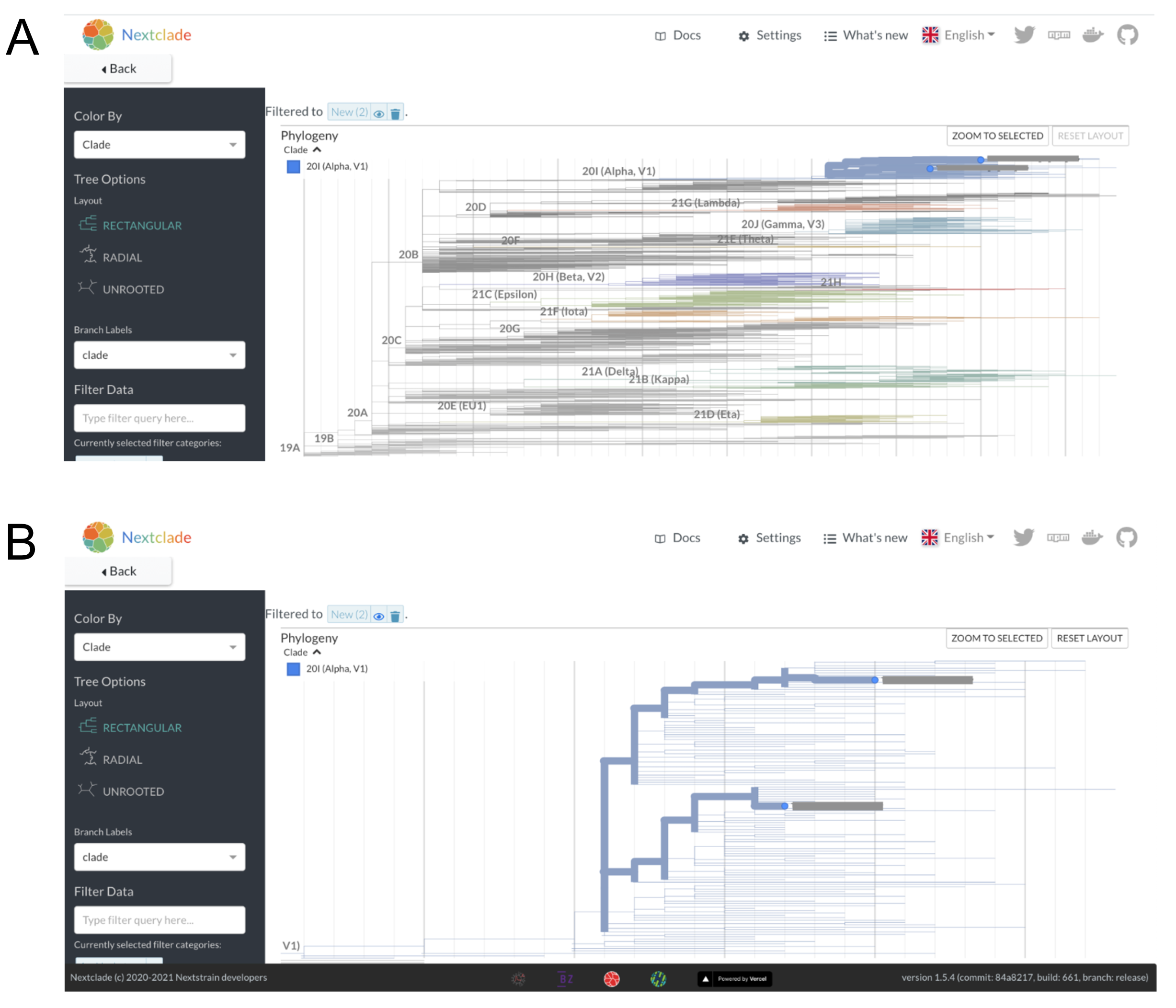 (A) Nextclade phylogenetic placement of the two B.1.1.7 sequences onto a background Nextstrain tree. Nextclade places both of these sequences on the tree within the Alpha clade, consistent with the Pango lineage assignments and our visual assessment of the sequencing reads. (B) A zoomed in view of the two sequences within the Alpha lineage of the tree shows that they are placed onto different parts of the tree within the Alpha clade. You can count the number of nucleotides changes separating the two viruses by “walking the path” of the highlighted branches between the two samples, counting up the number of nucleotide changes observed on each segment of the path as you go. An important note is that the vertical axis has no meaning, thus you are only summing up the number of SNPs observed along the horizontal segments of the path (the branches).