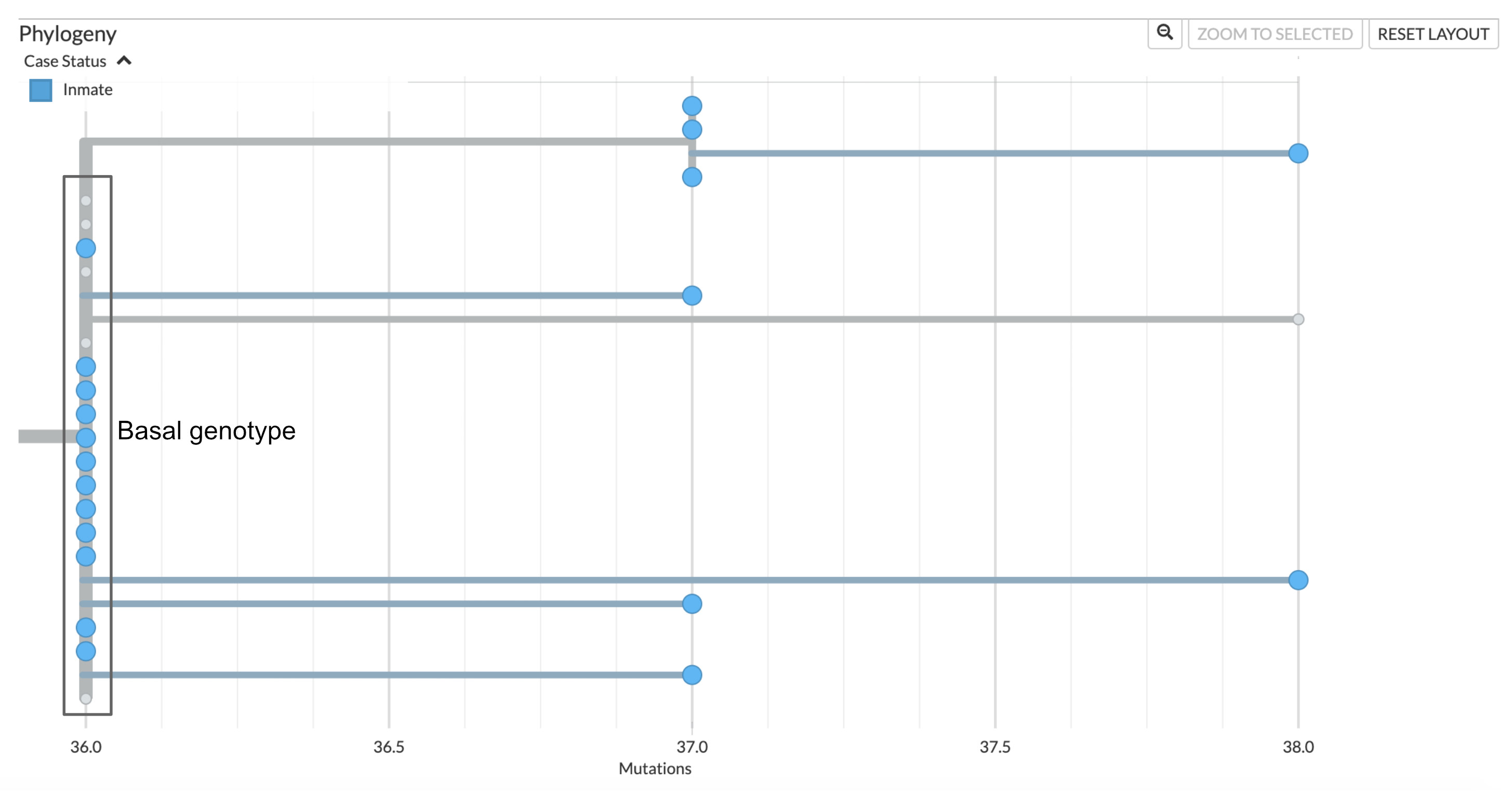 Phylogenetic tree showing the outbreak within the residential pods of the jail. Twelve sequences sampled from incarcerated individuals in the residential pods show identical genome sequences, and are the basal genotype of this clade. There are five contextual sequences that also have this identical genotype. Further investigation of which cases these contextual sequences were sampled from may provide some information regarding how this outbreak was introduced to the jail. Three sequences have an additional unique nucleotide mutation, and one sequence has an additional two nucleotide mutations that are unique to that sample. At the top of this clade we see an additional clade that groups four jail samples that all share one additional nucleotide mutation on top of the basal sequence. This pattern of unique and shared diversity, in conjunction with the timeframe over which these samples were collected, suggests ongoing circulation of this clade within the jail over time.