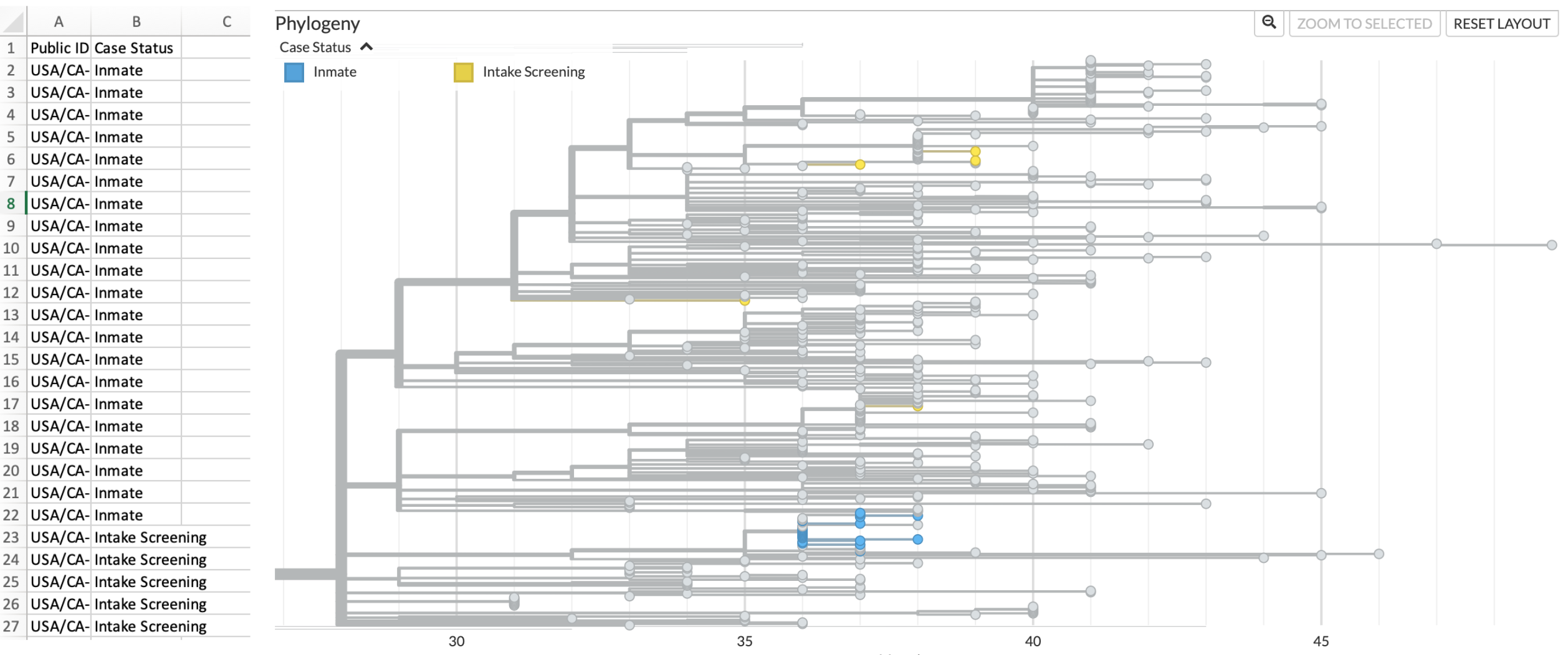 Metadata overlay onto Nextstrain phylogenetic tree differentiates sequences from incarcerated individuals (inmates) and from intake screening. On the left hand side is a screenshot of the metadata file formatted such that it can be dragged and dropped onto the tree. On the right, we see the same cluster as shown in [Figure 5.5], but now jail sequences are coloured according to whether they were sampled from incarcerated individuals residing in pods (blue) or from individuals undergoing intake screening (yellow). Contextual sequences remain coloured in grey.