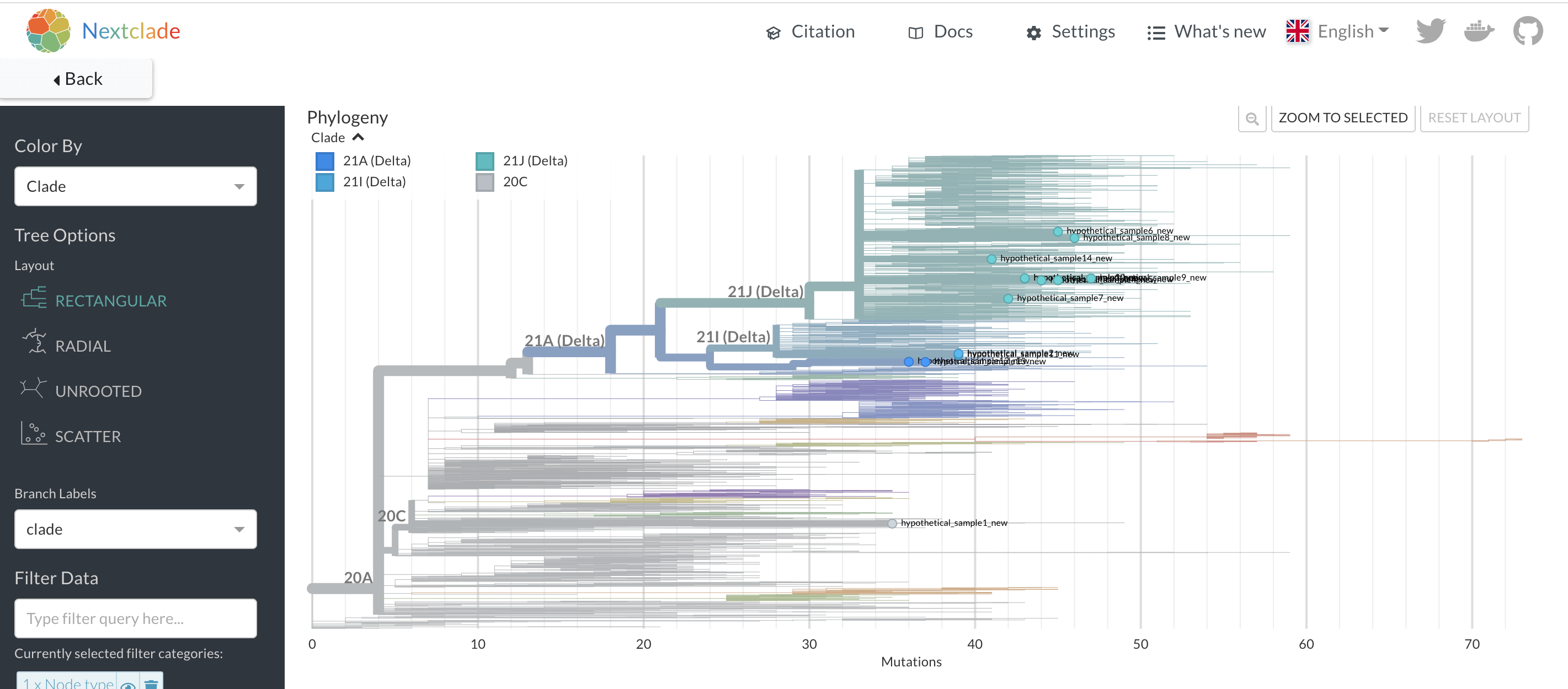 A Nextclade phylogenetic placement of 14 hypothetical samples. In contrast to the UShER subtree that we saw above, you can see the placement of all of these samples onto a single background tree, even though some of these samples are highly divergent. This provides a nice overview of the diversity of your sequences. However, this placement won’t tell you which sequences are most closely related to your uploaded sequences.