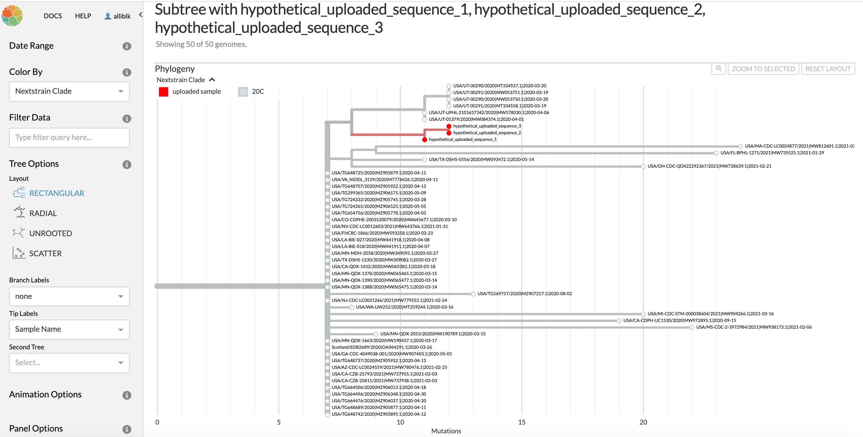 The subtree for [hypothetical uploaded sample 1]{.monospace} that is linked in the last column of the UShER summarytable. You can see that two more of the uploaded hypothetical samples are most closely related to [hypothetical uploaded sample 1]{.monospace}, and so these show up on the subtree as well. You can also see that there are many different samples that have the identical genome sequence to USA/MN-QDX-1663/2020. All of the samples with identical genome sequences to USA/MN-QDX-1663/2020 are as similarly related to hypothetical uploaded sample 1 as USA/MN-QDX-1663/2020 is, so in this case you should exercise caution in your interpretation.