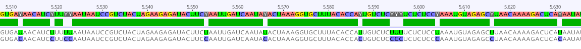 An example of a strong ADAR editing signal in the Ebola virus genome from the West African epidemic. The upper sequence (Makona-Gueckedou-C05) is an early sequence from the epidemic while the bottom one (J0169) is from an outbreak in Freetown later in the epidemic and bears a high number of T/U-&gt;C mutations in a very short stretch. There are about as many mutations in this small stretch as there are other non-clustered mutations differentiating these genomes.