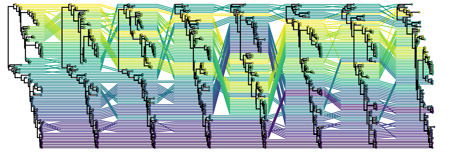 An example of a tangled chain. Here, all eight segment trees that comprise the human influenza B virus genome are plotted facing the same way and tips belonging to the same genome connected with lines.