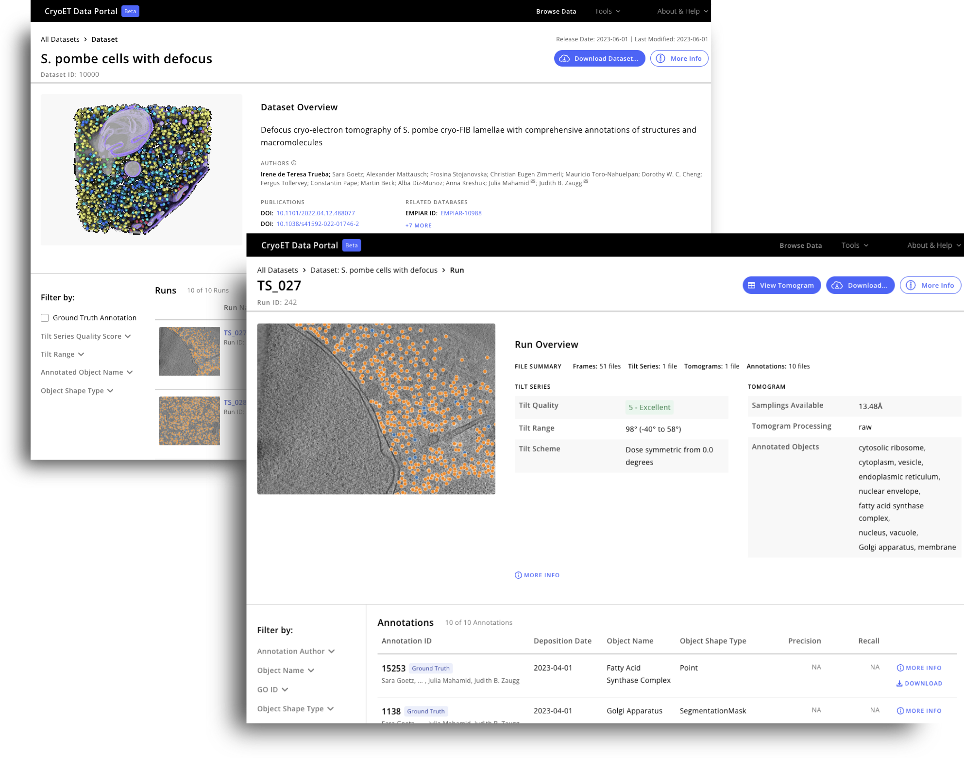 CryoET Data Portal web interface