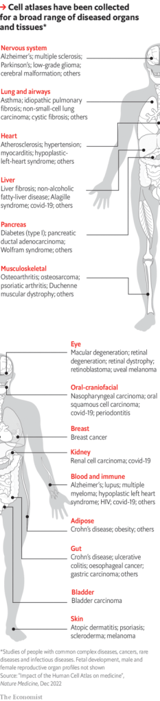 Drawing of the human body with arrows pointing to the diseased cells that have been sampled from that region in cell atlases
