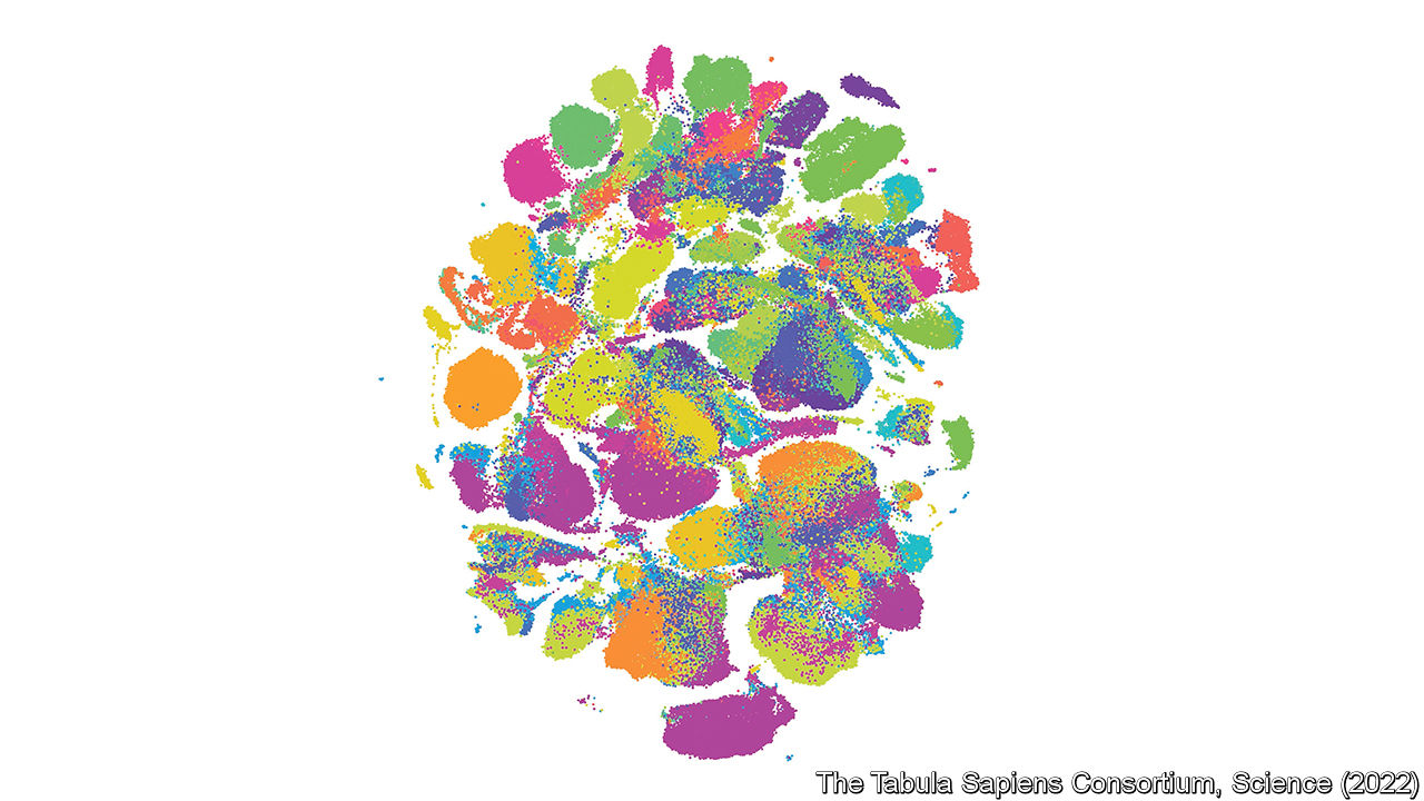 Human cell types categorized in different colors and represented in a two-dimensional format.